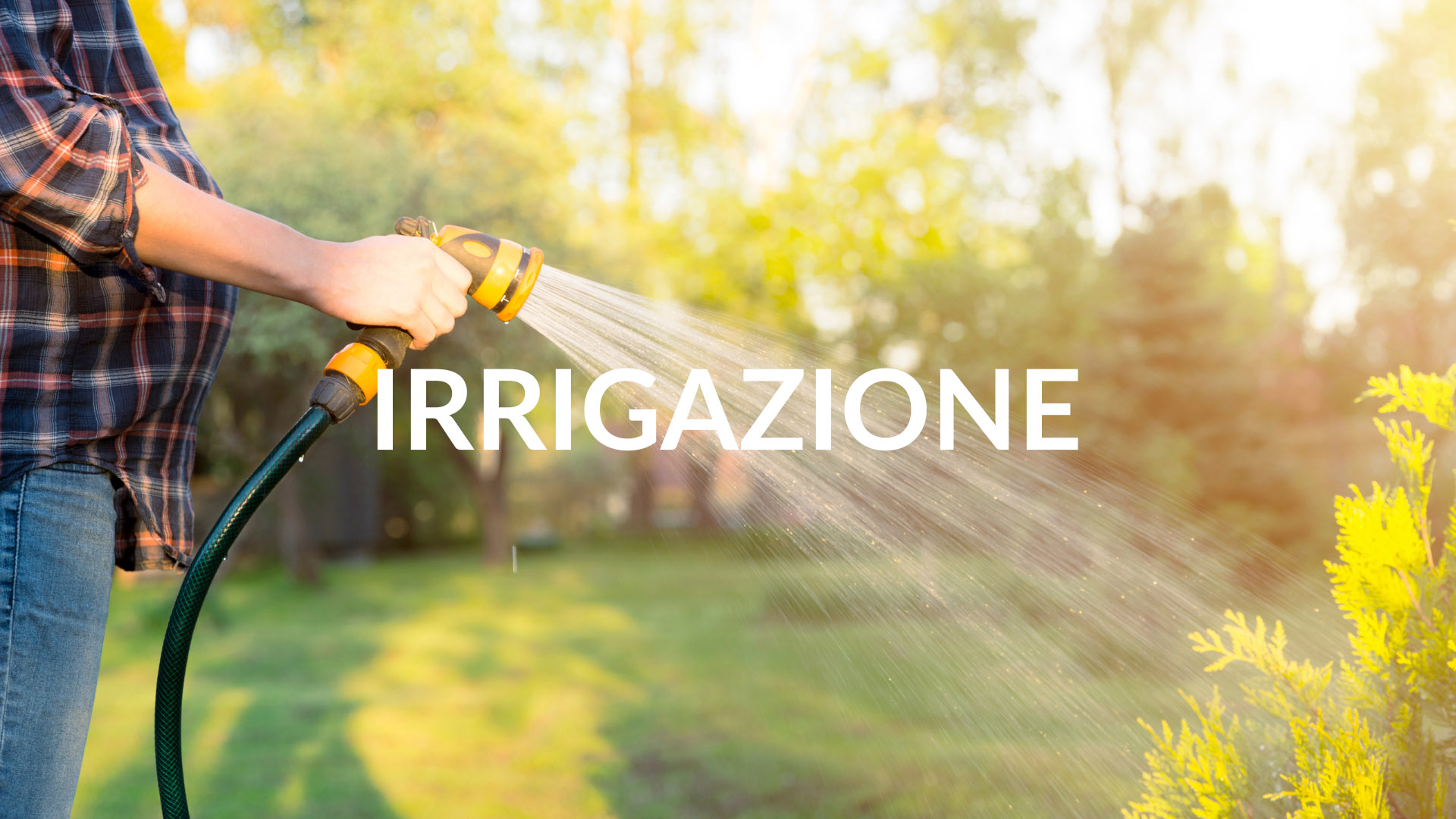 Irrigazione